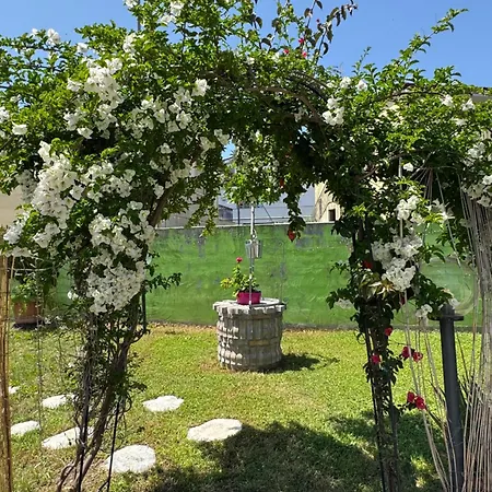 Oda ve Kahvaltı Frontepista 3*