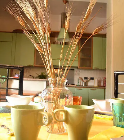 Frontepista 新乔瓦尼提蒂诺