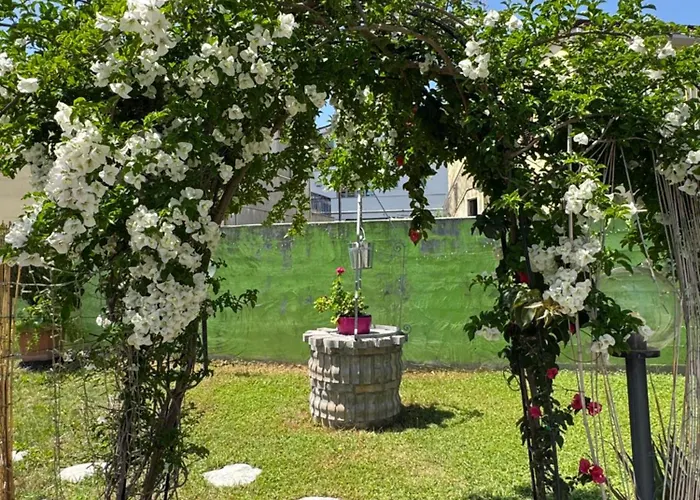 Bed & Breakfast Frontepista 3*